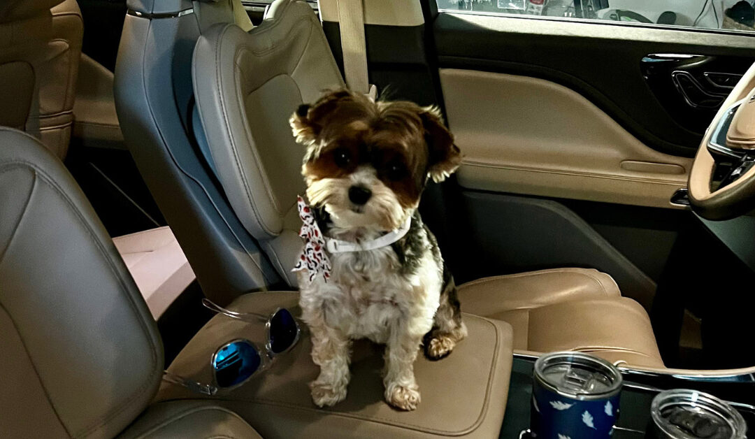 Distracted Driving Awareness