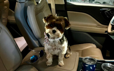 Distracted Driving Awareness