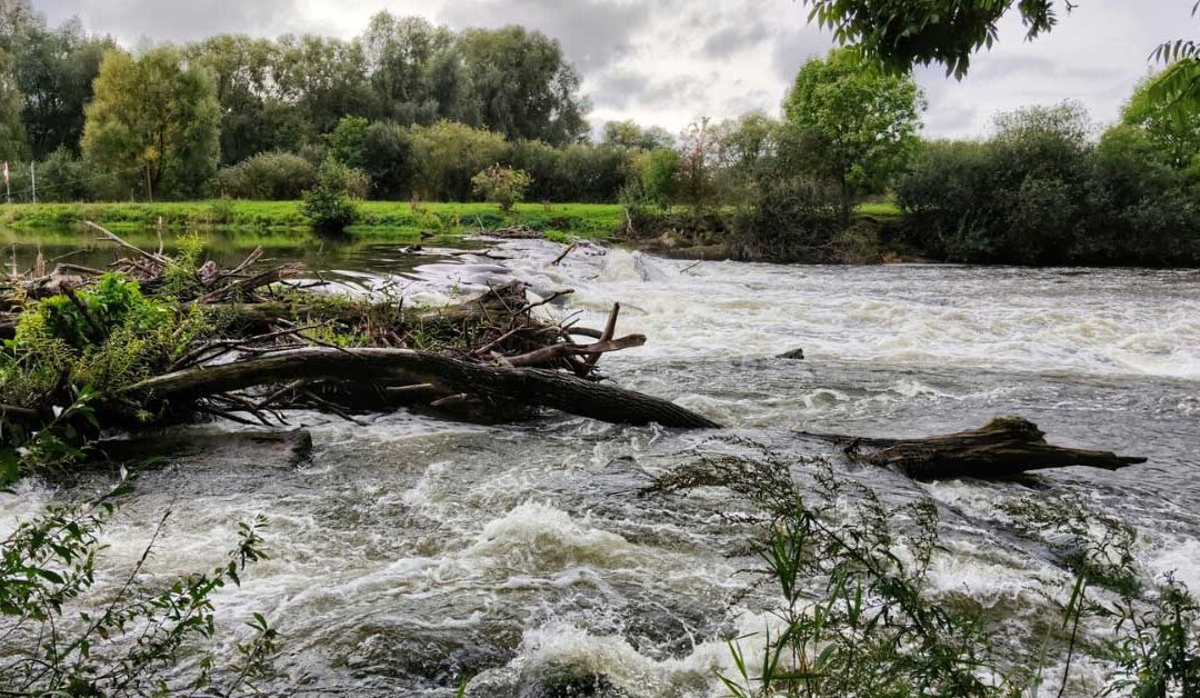 Flood Insurance with Widener Insurance Agency