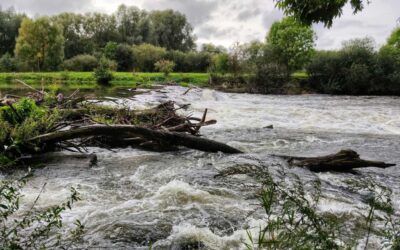 Flood Insurance with Widener Insurance Agency