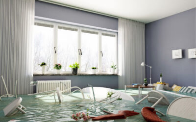 Don’t Get Caught Off Guard: The Minimal Price of Adding Water Backup Coverage to Your Home Policy