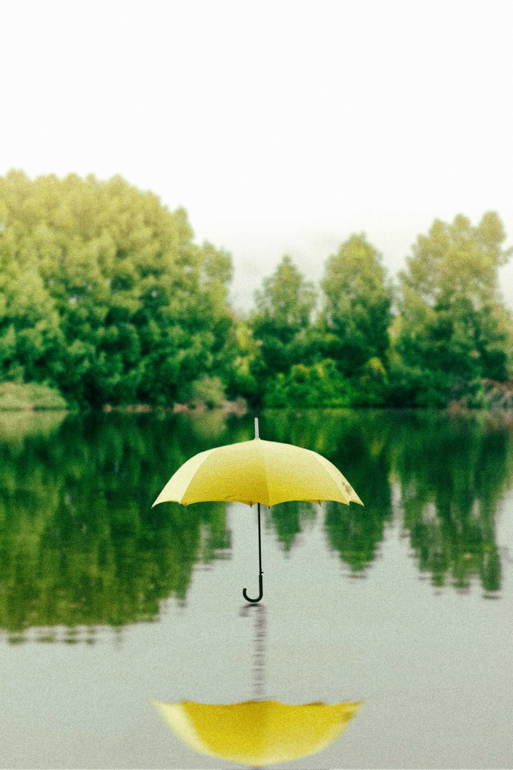 umbrella_1